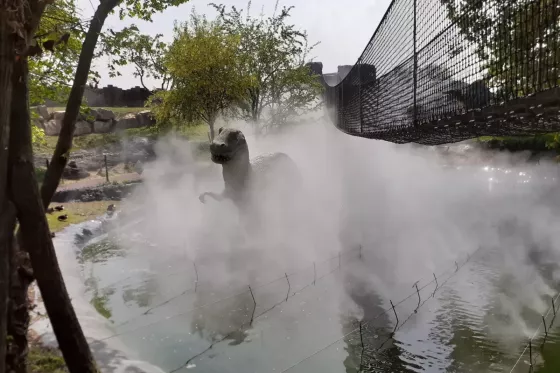 Festyland_installation_brumeuse_sous_un_pont-scaled