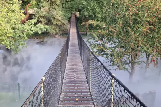 Festyland_pont_brume-scaled