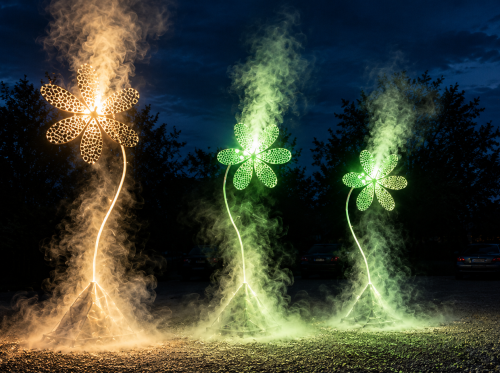 Fleurs-lumineuses-dans-la-brume-nocturne