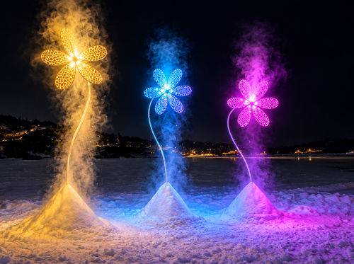 Fleurs-lumineuses-dans-la-neige-nocturne
