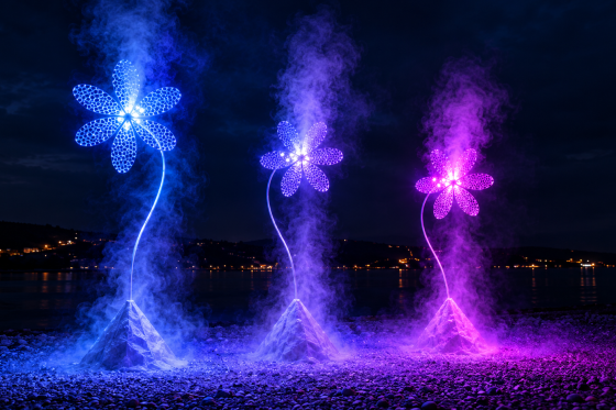 Fleurs-lumineuses-au-bord-de-leau