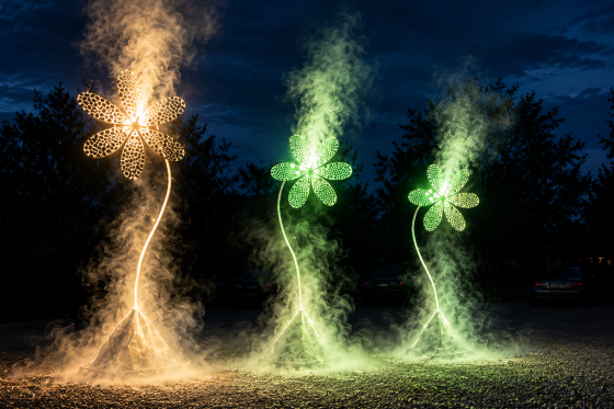 Fleurs-lumineuses-dans-la-brume-nocturne