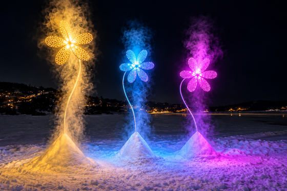 Fleurs-lumineuses-dans-la-neige-nocturne