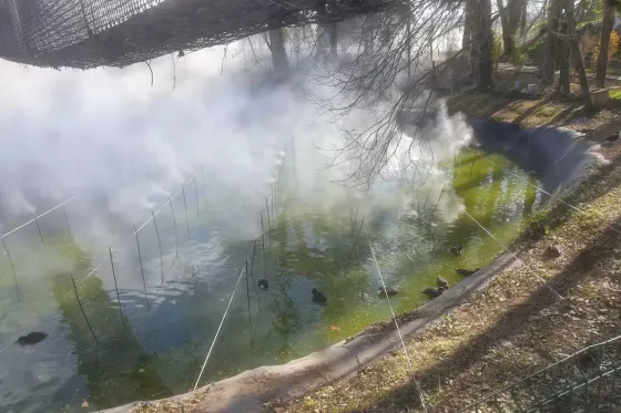 Installation_brume