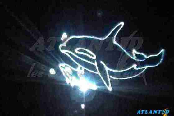 Voyage_de_leau_dauphin