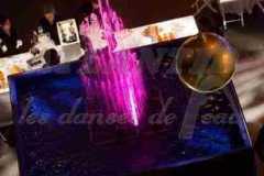 Salles_de_fetes_fontaines_roses