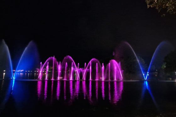 Show_fontaines_geantes_roses