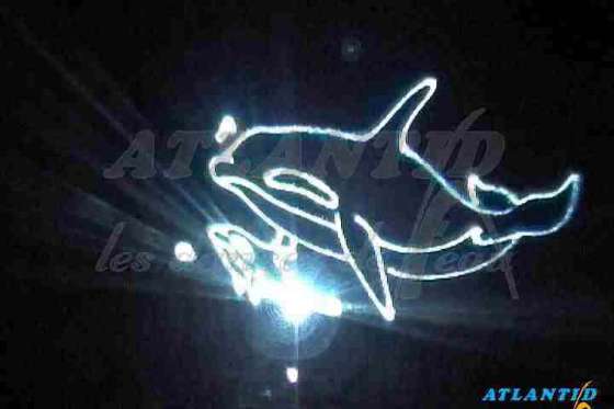 Voyage_de_leau_dauphin-1