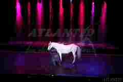 Fontaines_dansantes_et_feerie_des_eaux