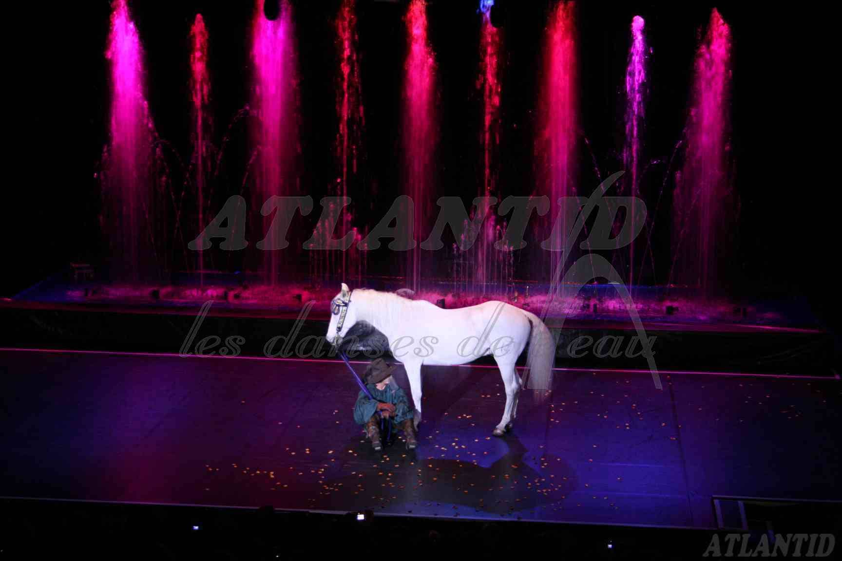 Atlantid - Espectáculos personalizados - Espectáculo con un caballo en el escenario y chorros de agua rosa de fondo