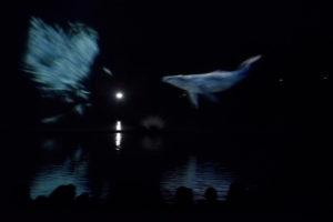 Atlantid - Écran d'eau avec baleine