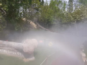 Effet brumeux en pleine nature pour mise en scène artistique - Festyland