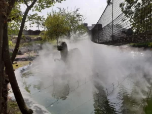 Effet brumeux en pleine nature pour mise en scène artistique